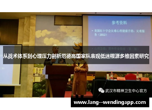 从战术体系到心理压力剖析厄德高国家队表现低迷根源多维因素研究 从战术体系到心理压力剖析厄德高国家队表现低迷根源多维因素研究