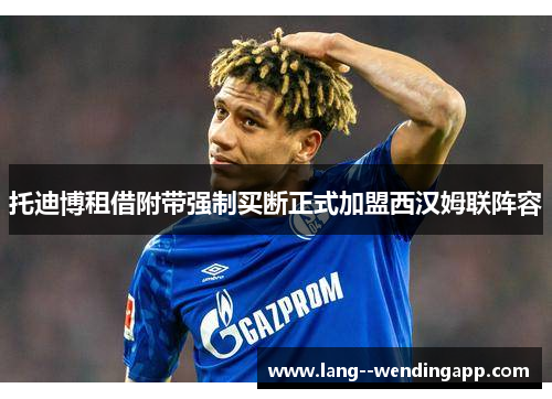 托迪博租借附带强制买断正式加盟西汉姆联阵容 托迪博租借附带强制买断正式加盟西汉姆联阵容